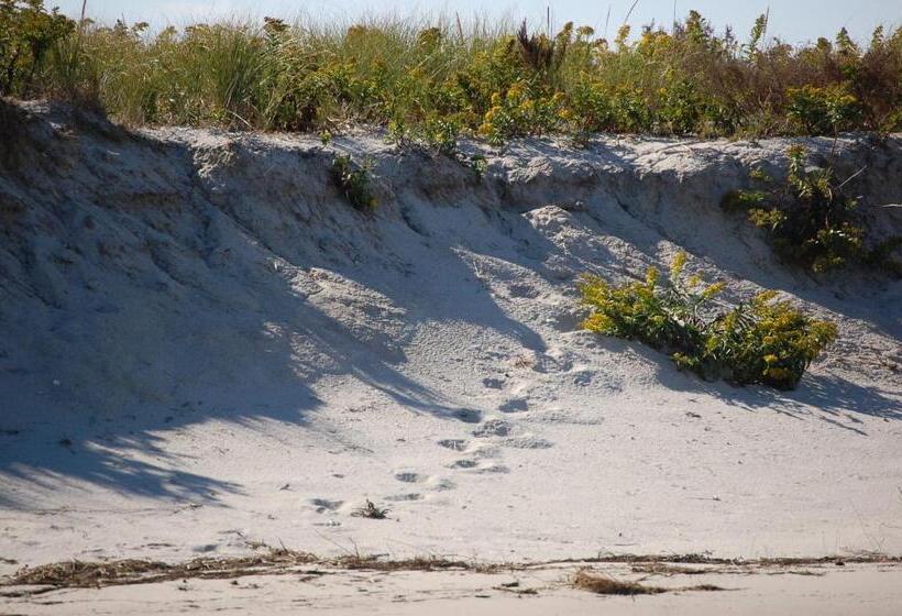 فندق Old Harbor Inn