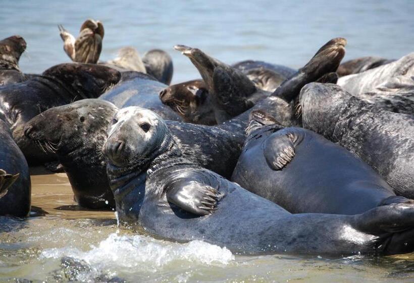 فندق Old Harbor Inn