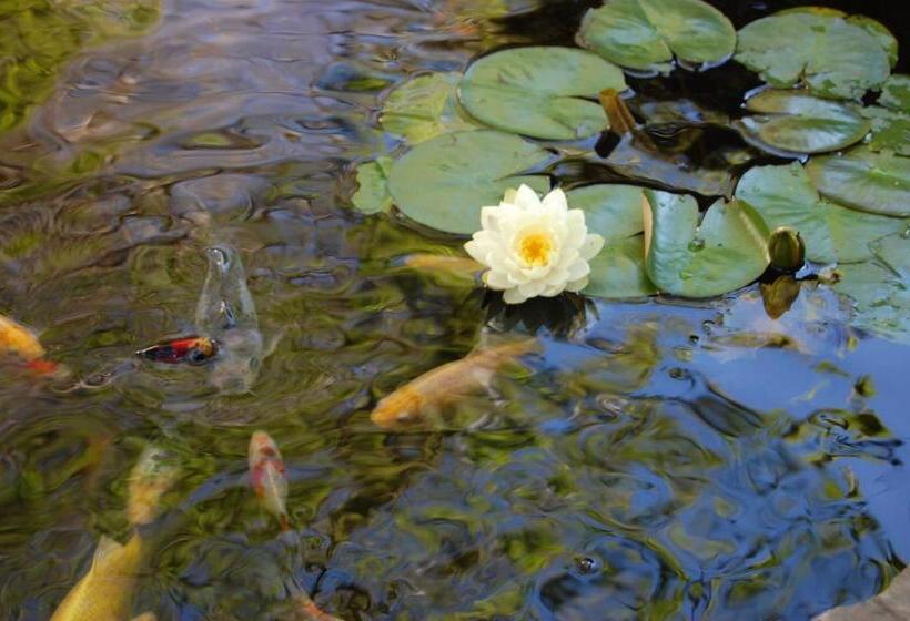 فندق Old Harbor Inn