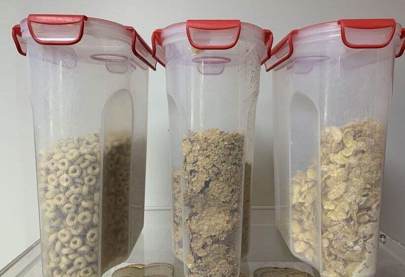 فندق Olde Amish Inn