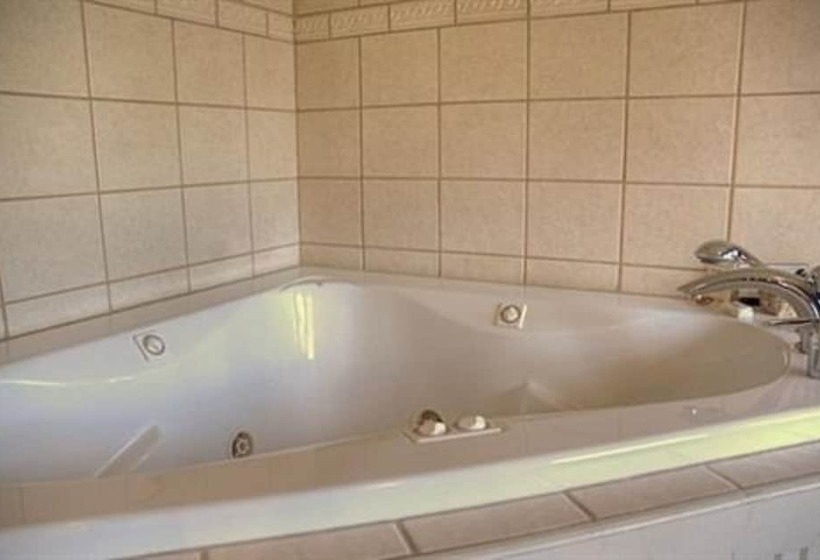 هتل The Oliver Inn