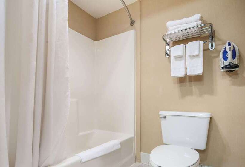 فندق Rodeway Inn