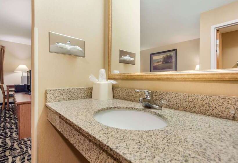 فندق Rodeway Inn