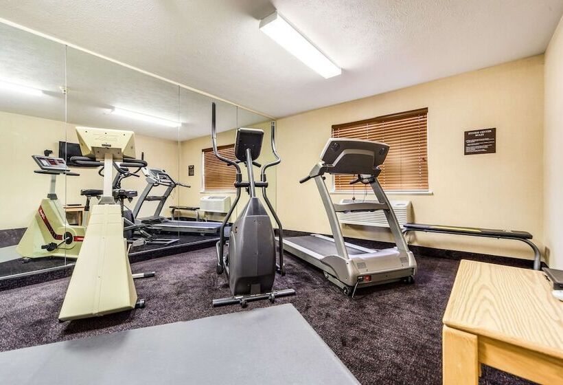 فندق Rodeway Inn