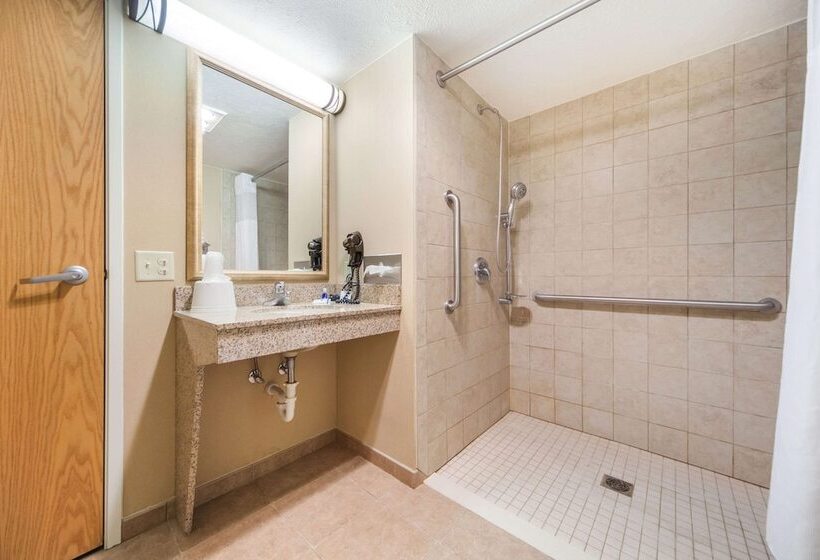 فندق Rodeway Inn