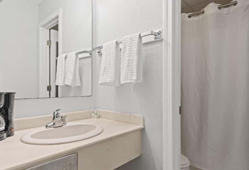 Отель The Niantic Inn