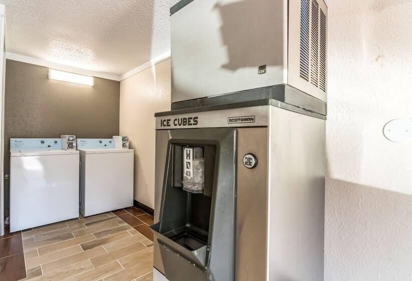 فندق على الطريق Econo Lodge   Gastonia