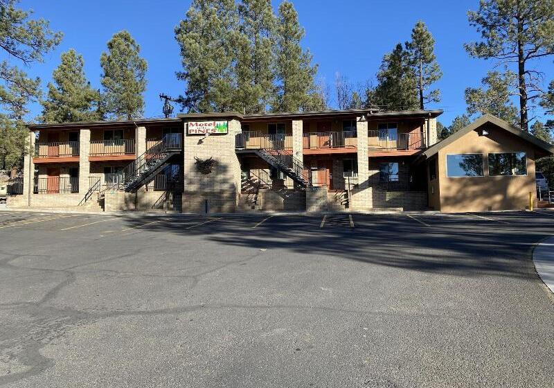 Motel In The Pines