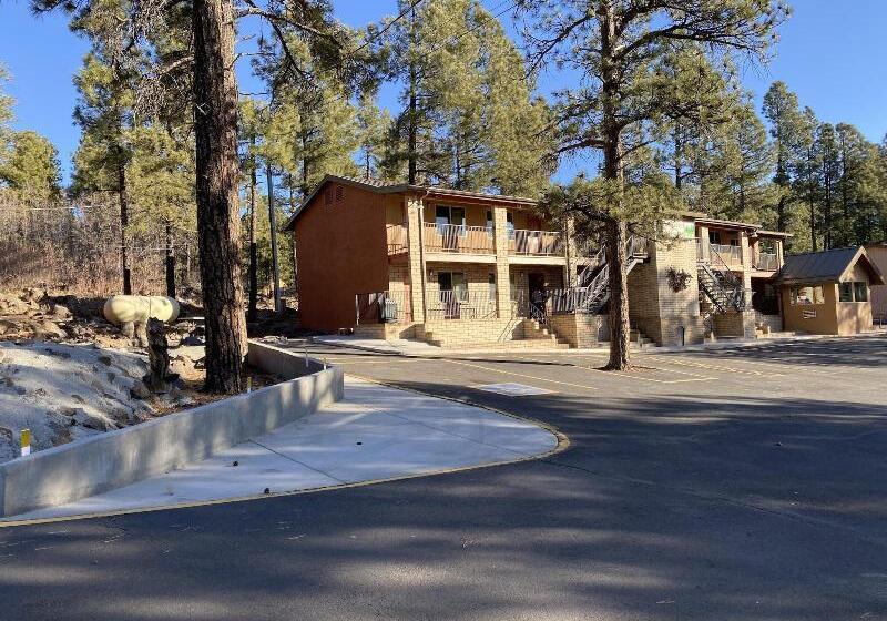 Motel In The Pines