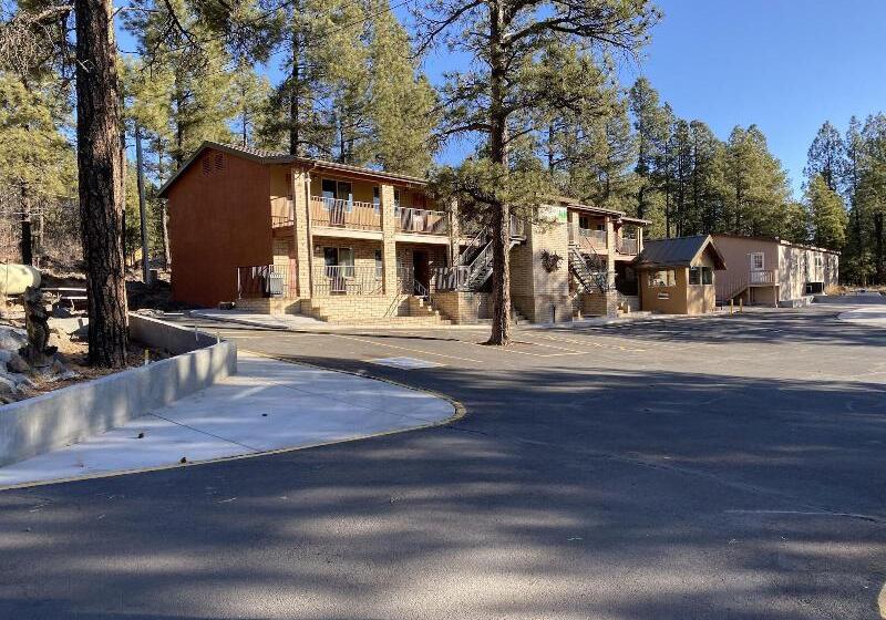 Motel In The Pines