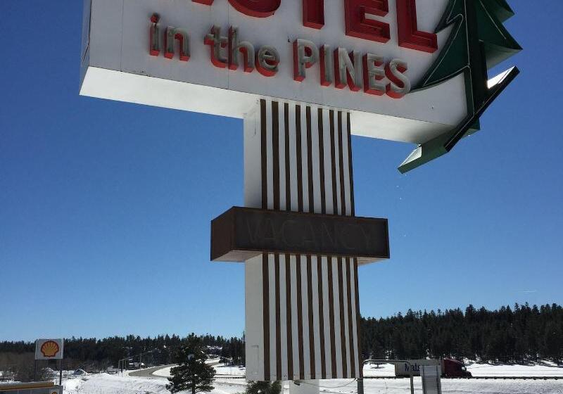 Motel In The Pines
