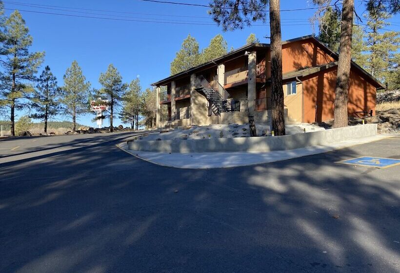 Motel In The Pines