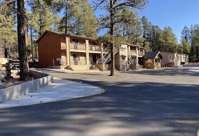 Motel In The Pines
