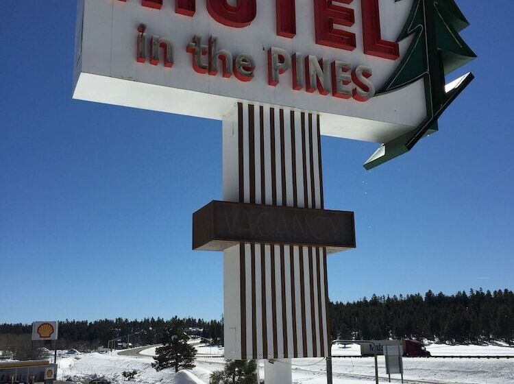Motel In The Pines