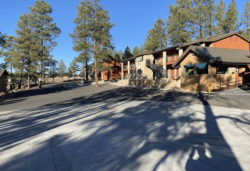 Motel In The Pines