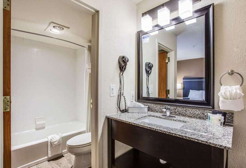 فندق على الطريق Quality Inn & Suites Meridian   West Boise