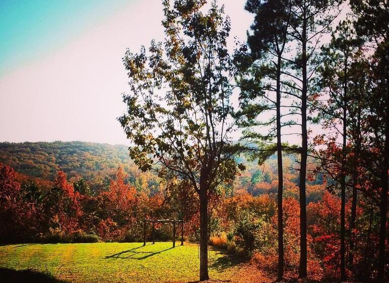 Mountain Top Inn And Resort