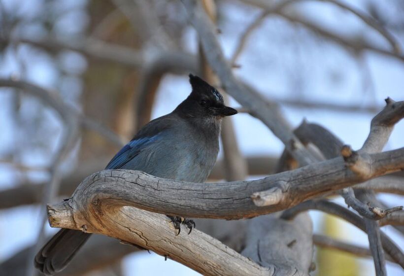 Mourelatos Lakeshore Resort