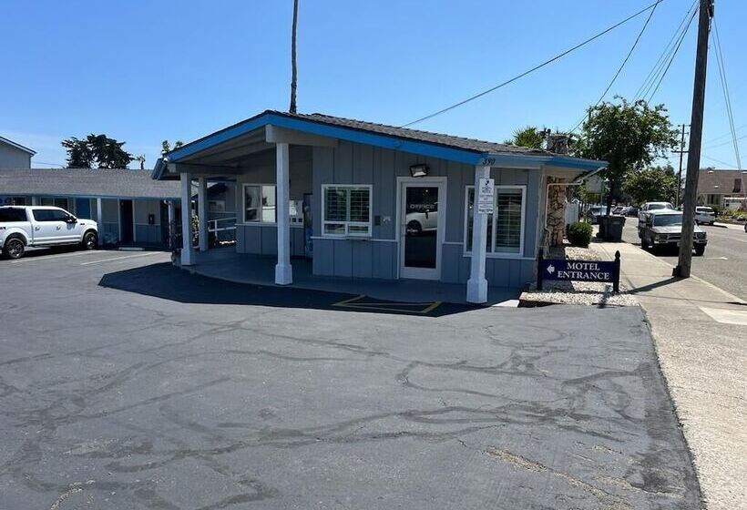 Ocean Palms Motel