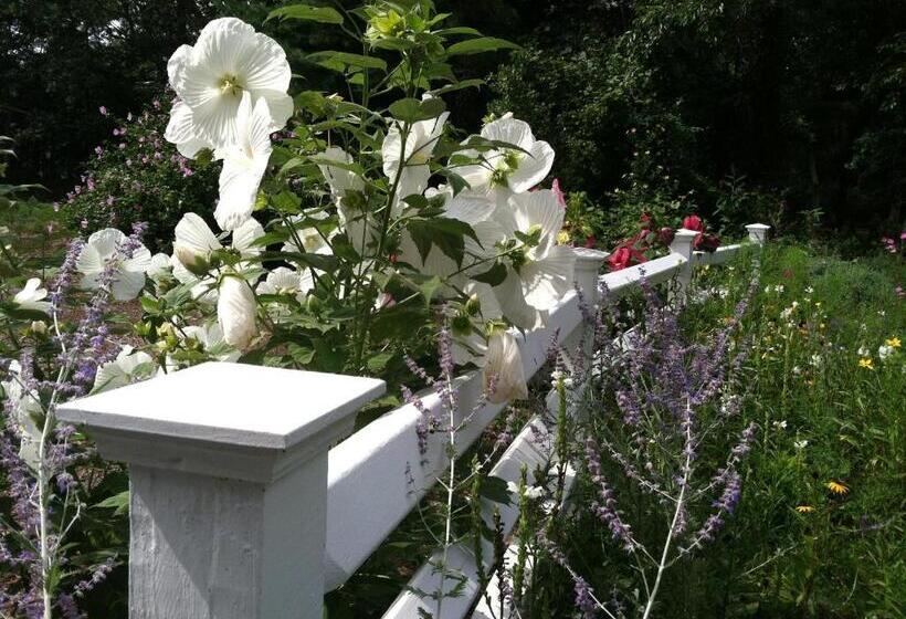 Olde Tavern Motel And Inn   Cape Cod