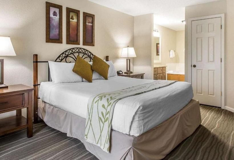 リゾートホテル Bluegreen Vacations Mountainloft