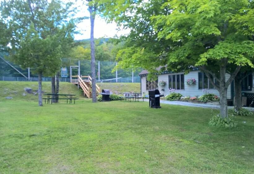 استراحتگاه Winterplace On Okemo Mountain