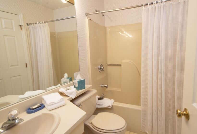 استراحتگاه Winterplace On Okemo Mountain