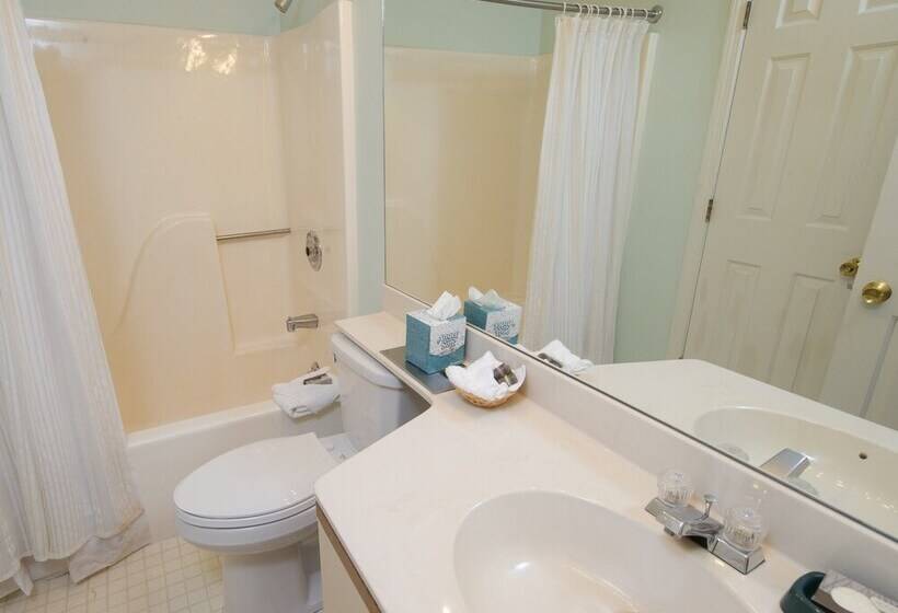 استراحتگاه Winterplace On Okemo Mountain