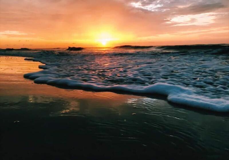 リゾートホテル Tybee