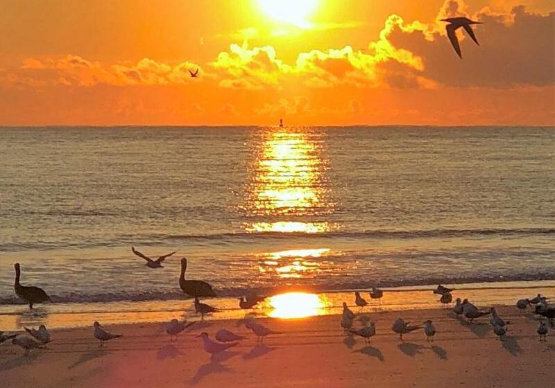 リゾートホテル Tybee