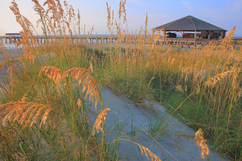 リゾートホテル Tybee