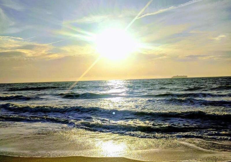 リゾートホテル Tybee