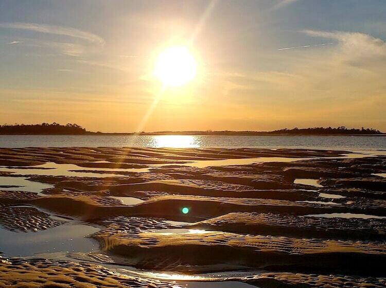 リゾートホテル Tybee