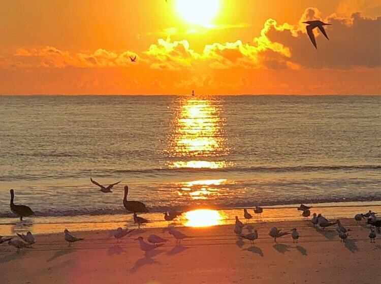 リゾートホテル Tybee