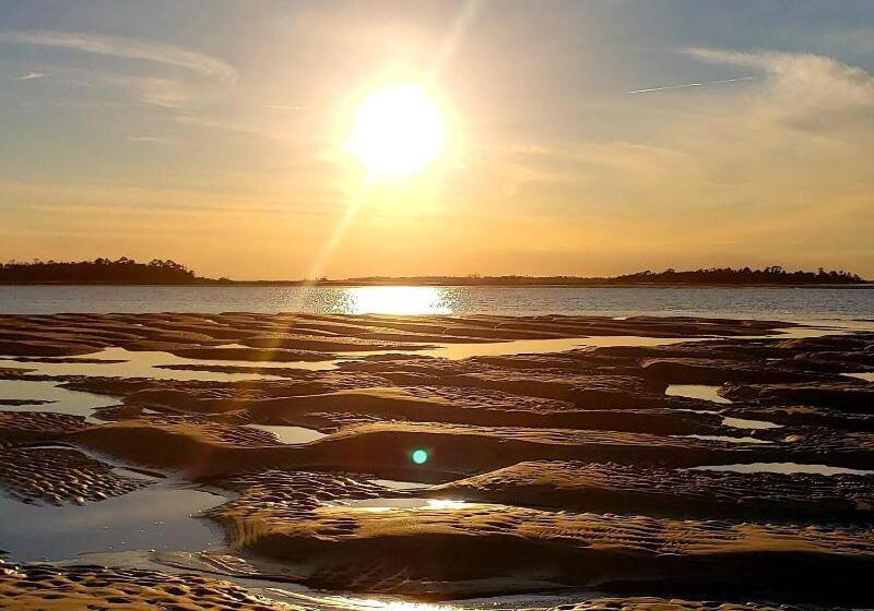 リゾートホテル Tybee