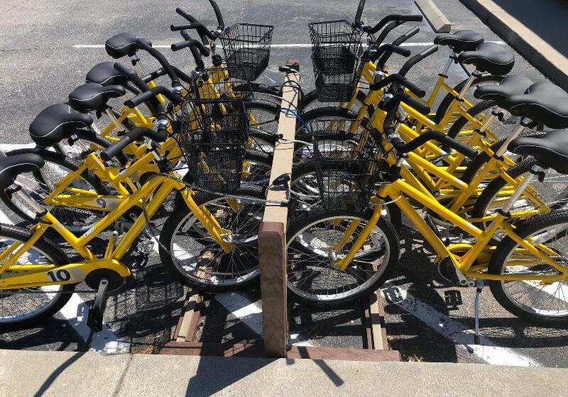 リゾートホテル Tybee