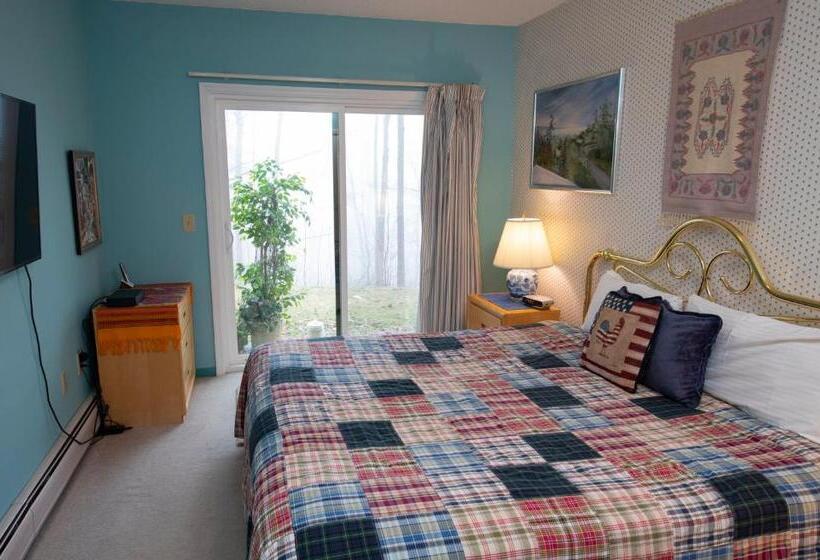 استراحتگاه Winterplace On Okemo Mountain