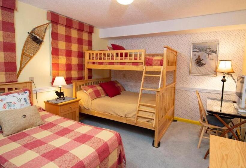 استراحتگاه Winterplace On Okemo Mountain