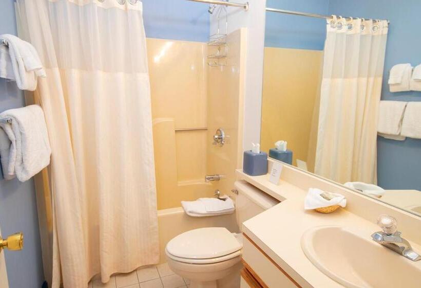 استراحتگاه Winterplace On Okemo Mountain