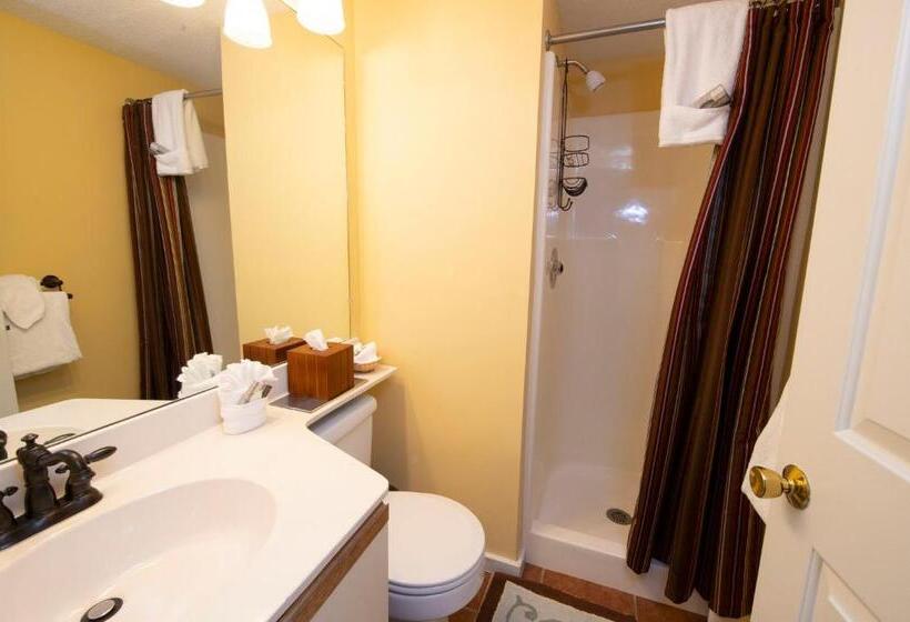 استراحتگاه Winterplace On Okemo Mountain