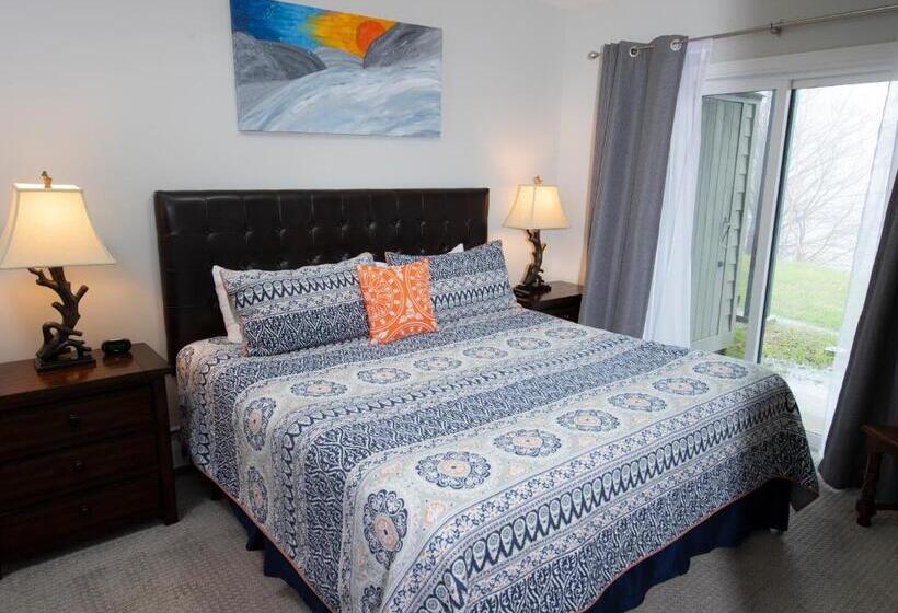 استراحتگاه Winterplace On Okemo Mountain