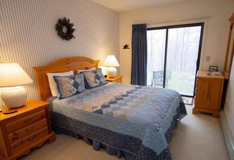 استراحتگاه Winterplace On Okemo Mountain