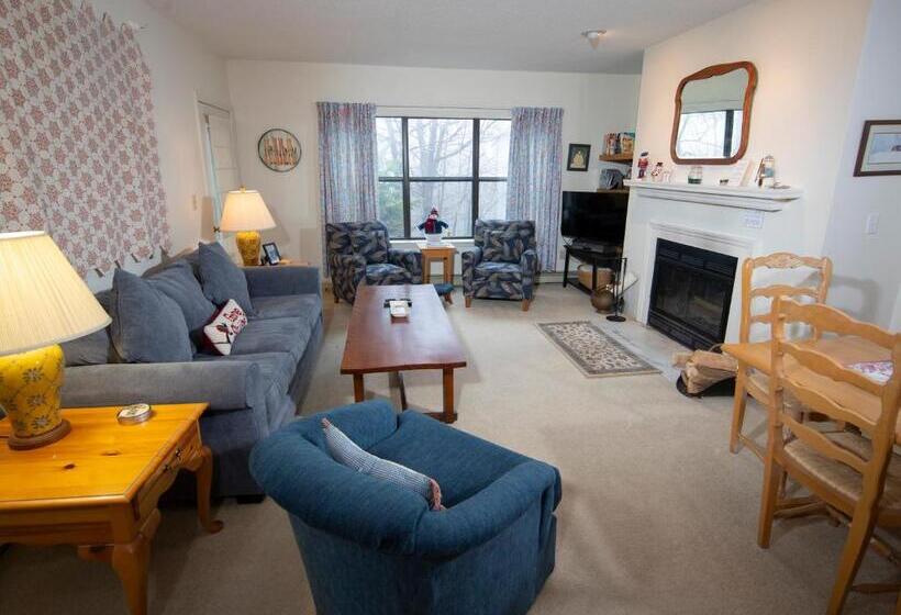 استراحتگاه Winterplace On Okemo Mountain