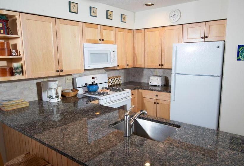 استراحتگاه Winterplace On Okemo Mountain