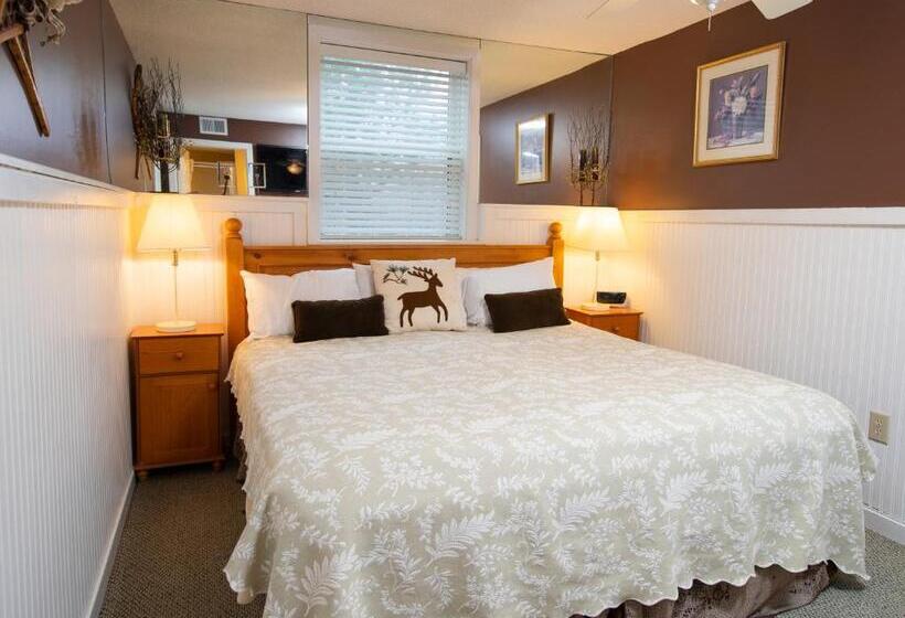 استراحتگاه Winterplace On Okemo Mountain