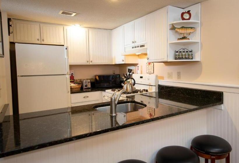 استراحتگاه Winterplace On Okemo Mountain