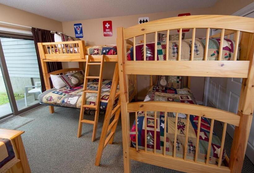 استراحتگاه Winterplace On Okemo Mountain