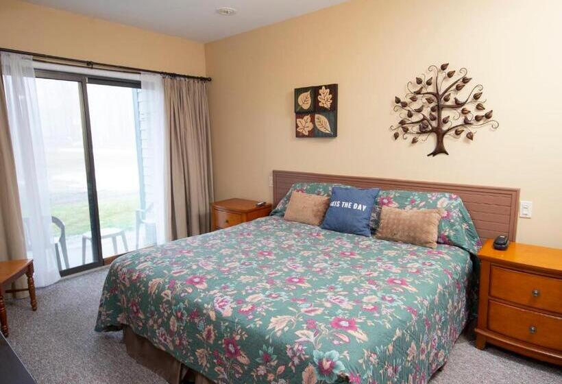 استراحتگاه Winterplace On Okemo Mountain