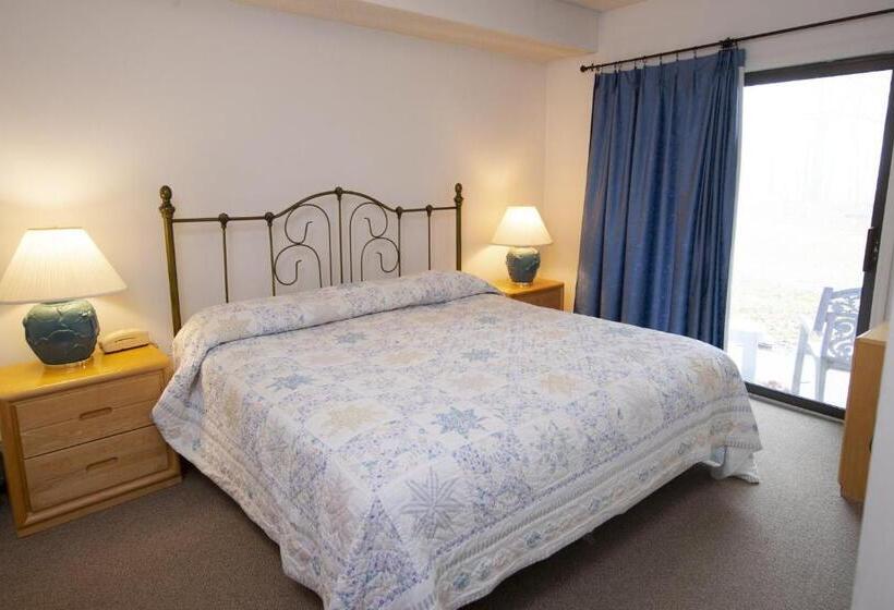 استراحتگاه Winterplace On Okemo Mountain