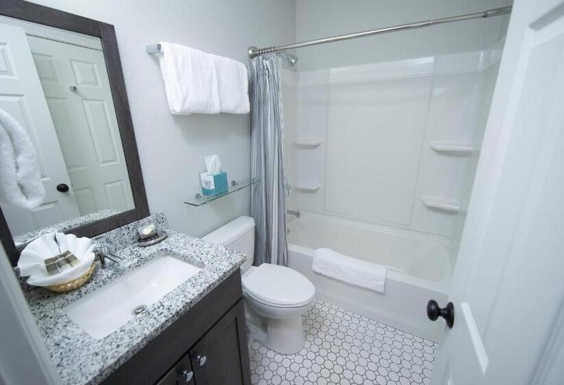 استراحتگاه Winterplace On Okemo Mountain